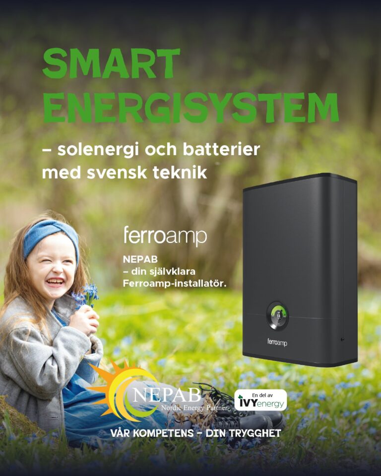 SMART ENERGISYSTEM